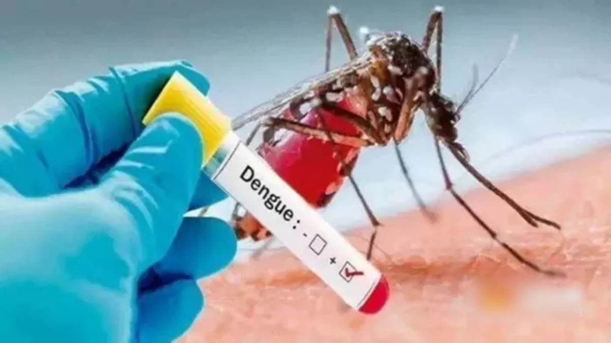 Take precautions to avoid dengue.